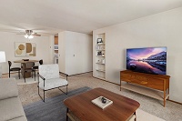 Shenandoah Apartments - 2BR/1BA - Living Room