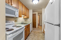 Shenandoah Apartments - 2BR/1BA - Kitchen