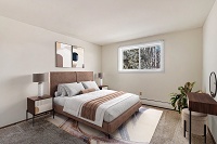 Shenandoah Apartments - 2BR/1BA - Second Bedroom