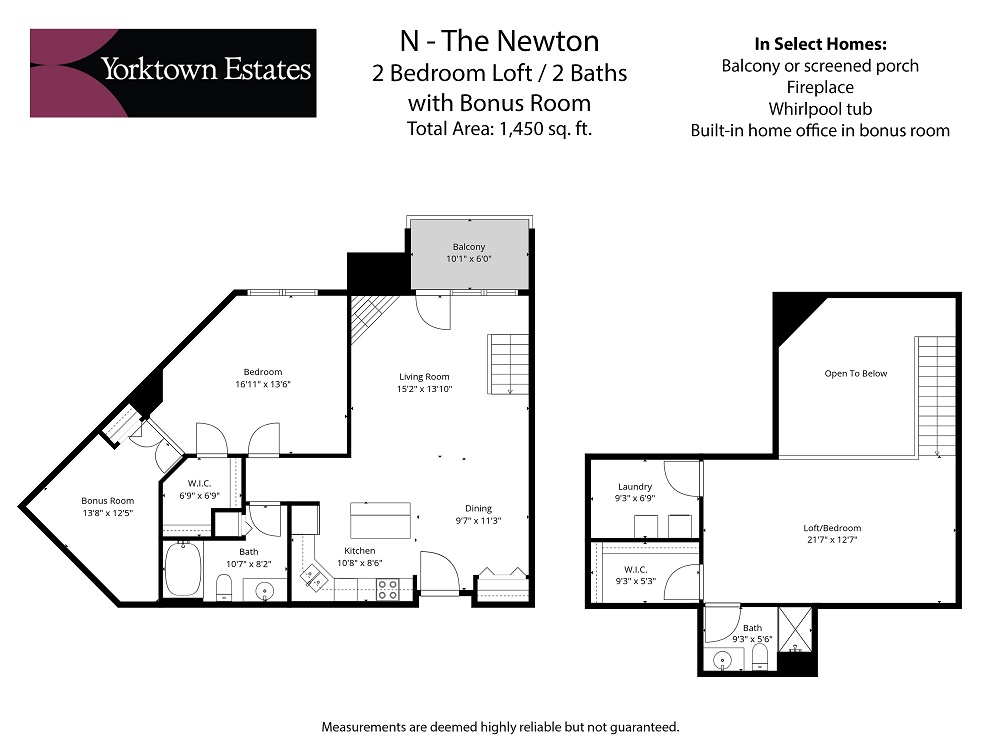 N - The Newton