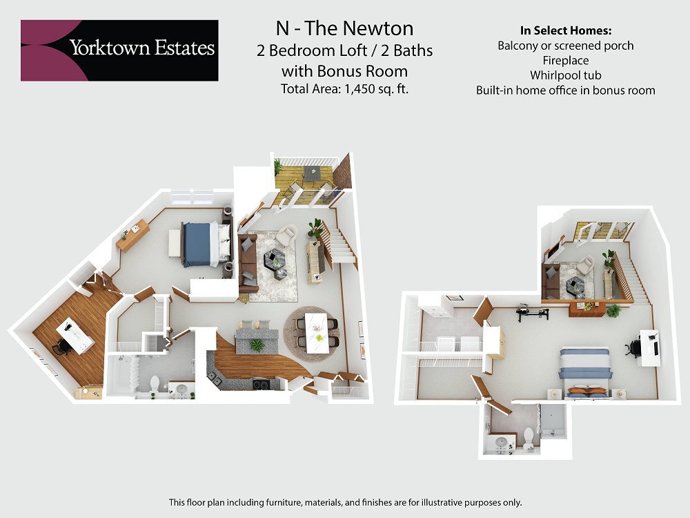 N - The Newton