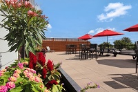 Lamphouse Apartments - Rooftop Deck