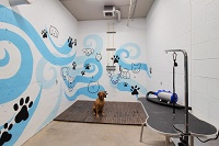 Lamphouse Apartments - Dog Wash