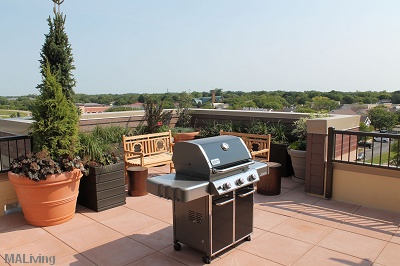 Green Roof Patio/Terrace