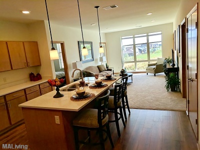 Quartz Countertops