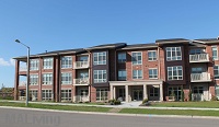 Paragon Place at Bear Claw Way - Brand New Community