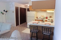 Diplomat Apartments: On Lake Monona - Efficiency
