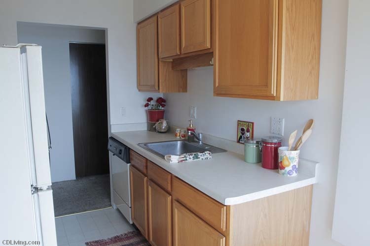 1 Bedroom Lakeview