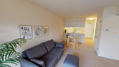 Mini 1 Bedroom