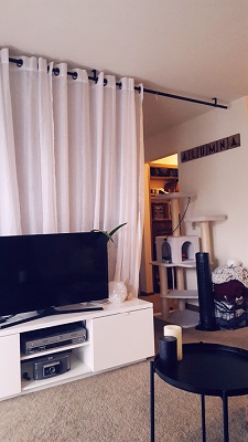 Big Sky Manor - Studio