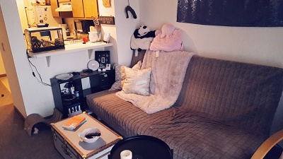 Big Sky Manor - Studio