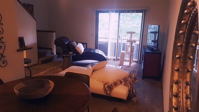 Big Sky Manor - 1 Bedroom Loft