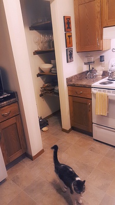 Big Sky Manor - 1 Bedroom Loft