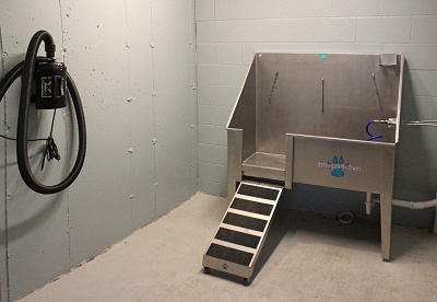 1 Glenn Place - Pet Washing Station