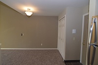 Nakoma Commons - 1 Bedroom Loft