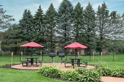 BBQ Area