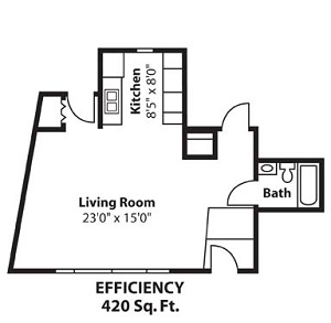 Efficiency